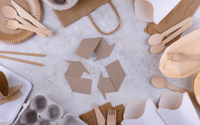 The Evolution of Sustainable Paper Products